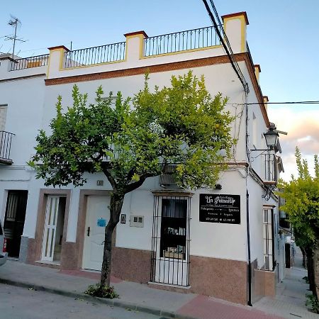 Jacaranda Villa Prado Del Rey Eksteriør billede